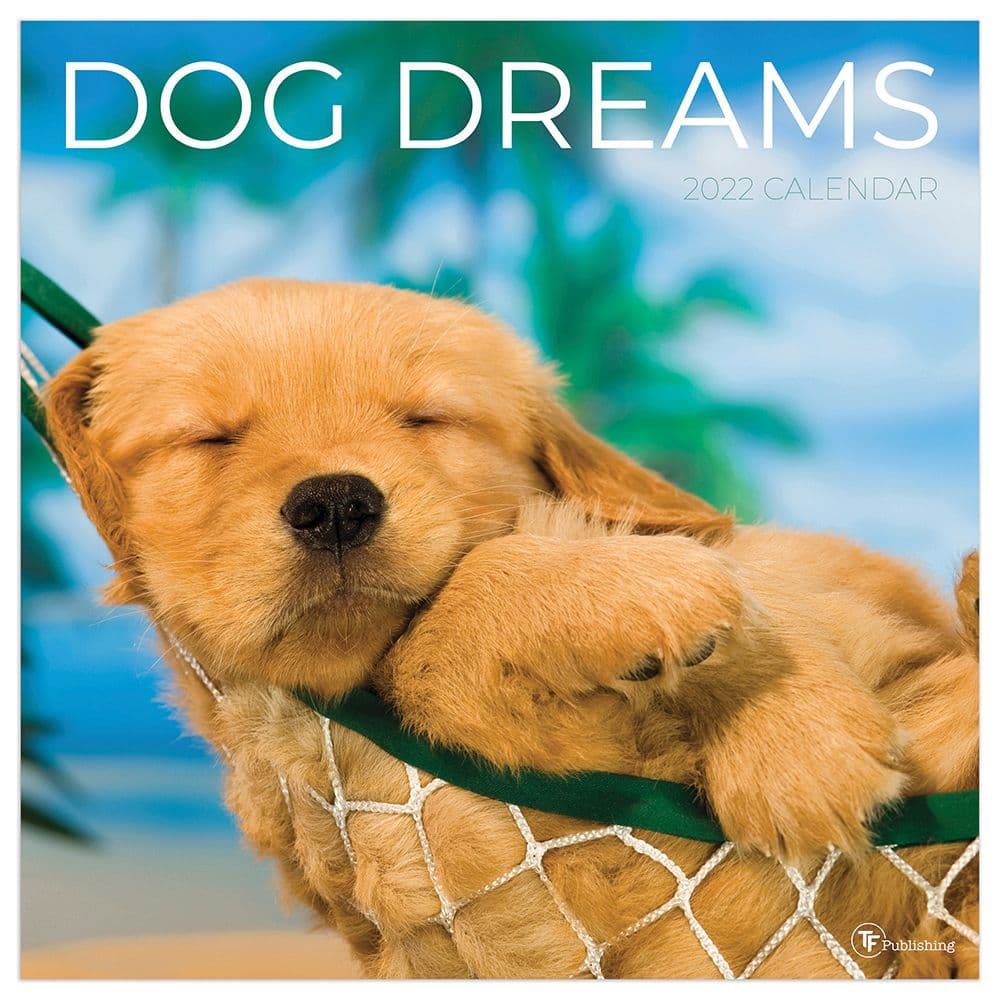 Dog Dreams 2022 Wall Calendar - Calendars.com