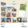 image Goats 2025 Wall Calendar