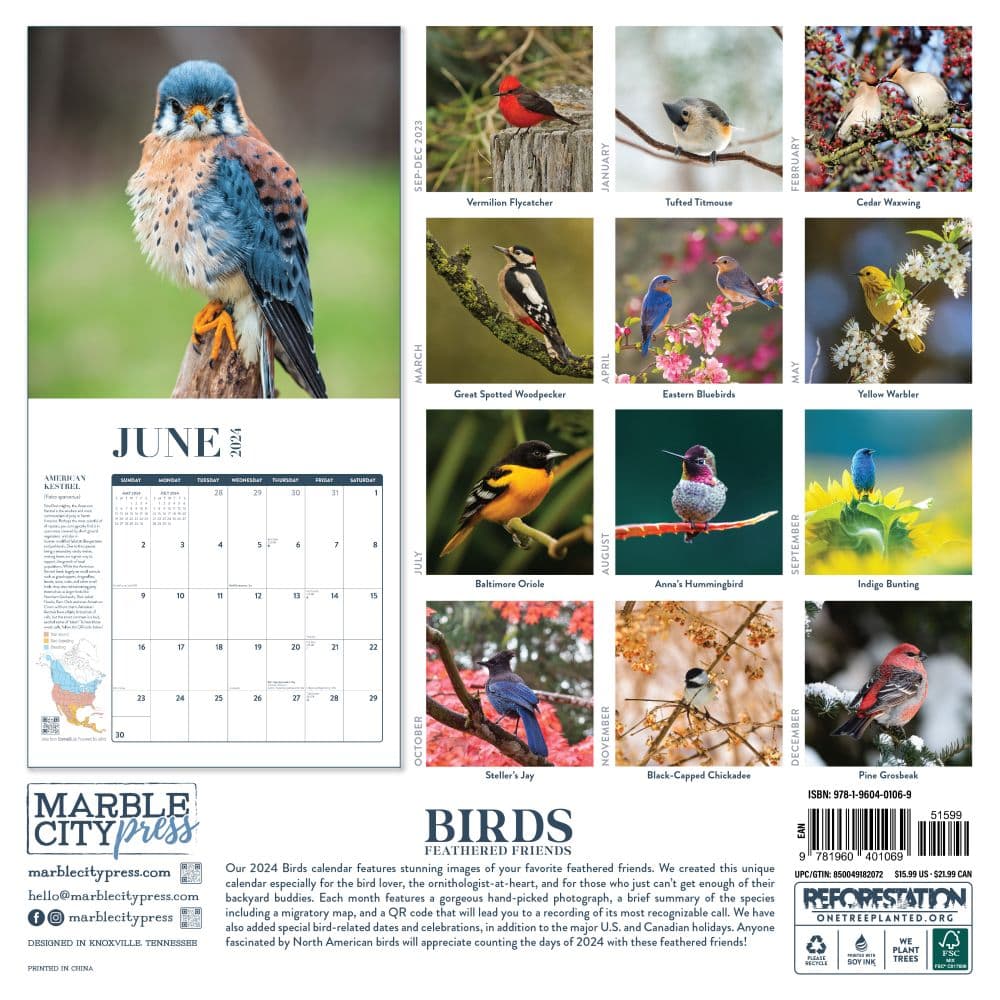 Birds Feathered Friends 2024 Wall Calendar