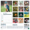 image Birds Feathered Friends 2024 Wall Calendar First Alternate Image width=&quot;1000&quot; height=&quot;1000&quot;