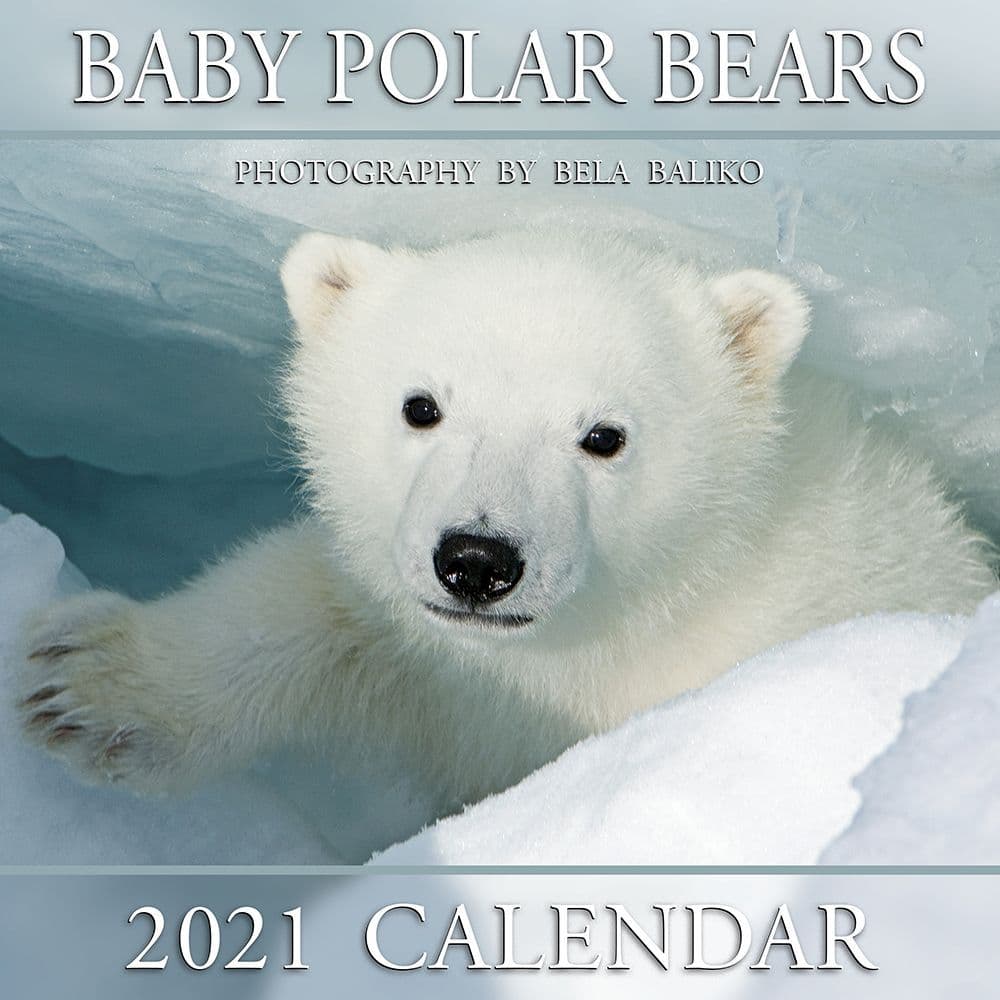 72 Best 2021 Wildlife Calendars - Calendar Buy