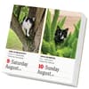 image 365 Cats 2025 Page-A-Day Desk Calendar Weekend View