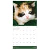 image Kittens 2025 Wall Calendar Second Alternate Image