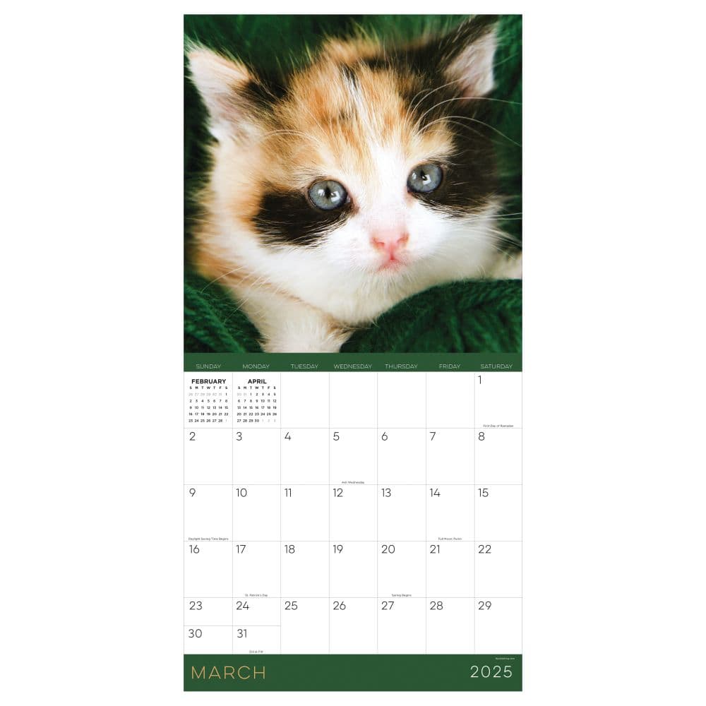 Kittens 2025 Wall Calendar Second Alternate Image