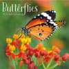 image Butterflies Special Value 2025 Wall Calendar Main Image