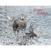 image Winter Wonder Moose Boxed Christmas Cards by Michael Sieve Main Image