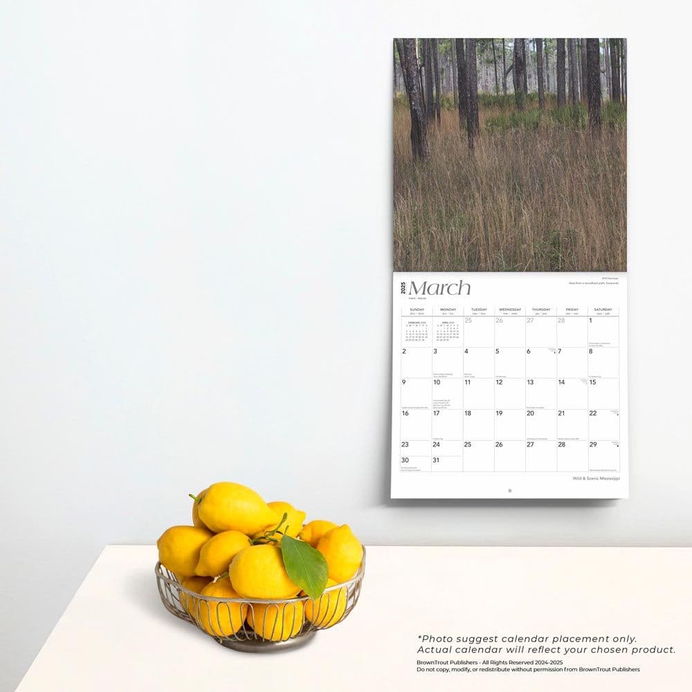 Mississippi Wild and Scenic 2025 Wall Calendar Fourth Alternate Image