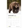 image Apex Predators 2025 Wall Calendar First Alternate Image width=&quot;1000&quot; height=&quot;1000&quot;