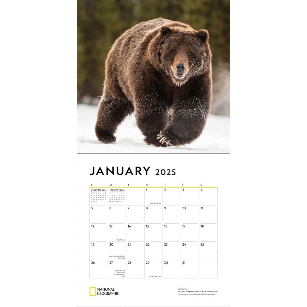 Apex Predators 2025 Wall Calendar First Alternate Image width=&quot;1000&quot; height=&quot;1000&quot;