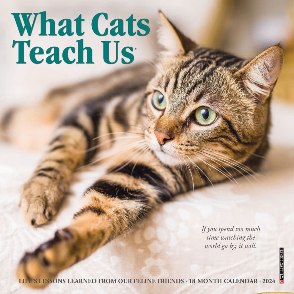 Cats What Cats Teach Us 2025 Mini Wall Calendar