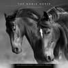 image Noble Horses Portrait Series 2025 Wall Calendar Main Product Image width=&quot;1000&quot; height=&quot;1000&quot;
