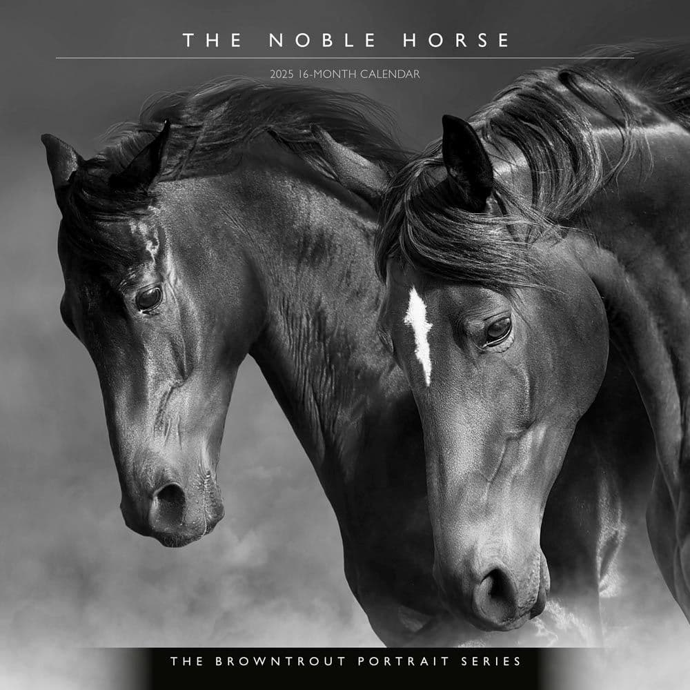 Noble Horses Portrait Series 2025 Wall Calendar Main Product Image width=&quot;1000&quot; height=&quot;1000&quot;