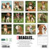 image Just Beagles 2026 Wall Calendar First Alternate Image
