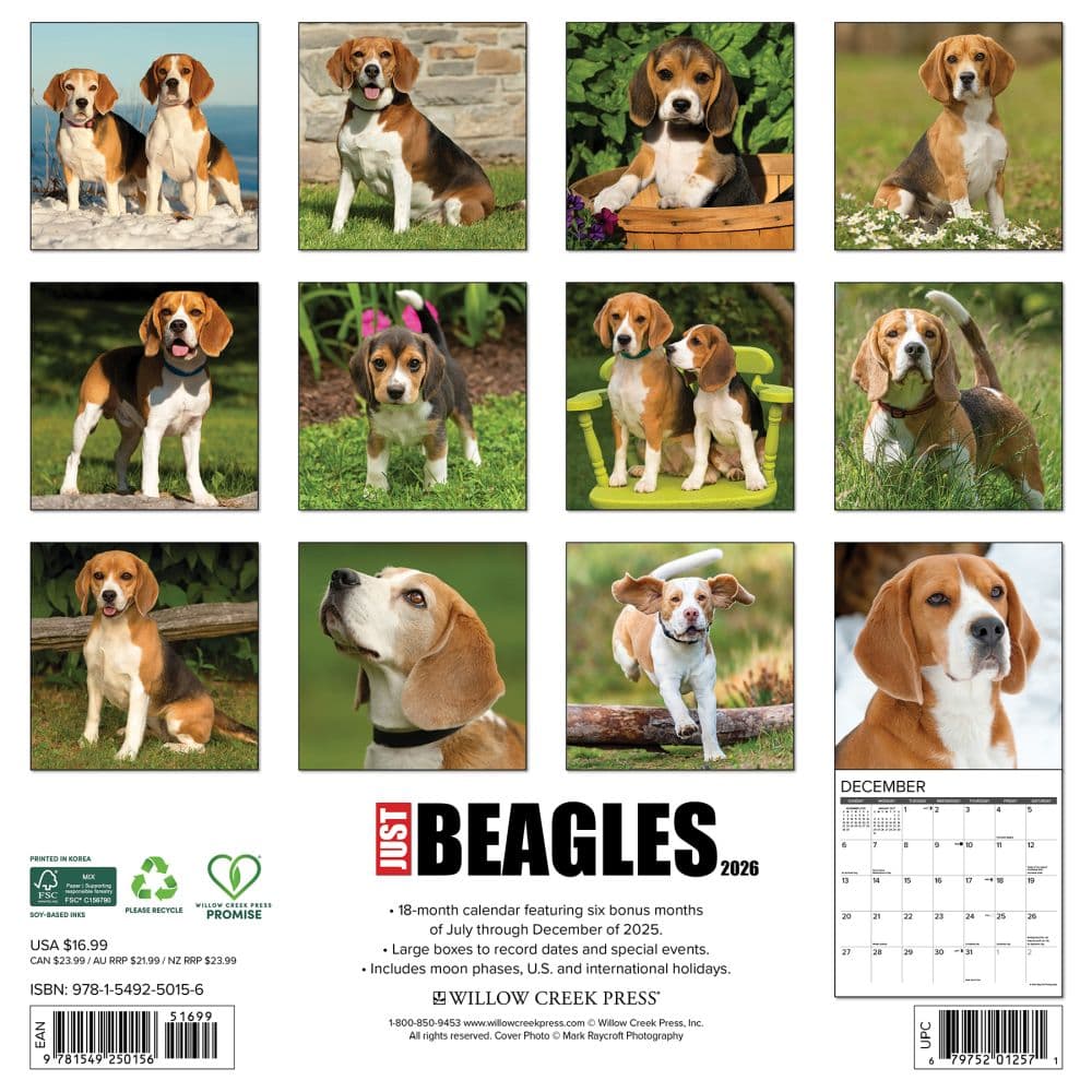 Just Beagles 2026 Wall Calendar First Alternate Image