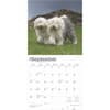 image Old English Sheepdogs 2025 Wall Calendar Third Alternate Image width=&quot;1000&quot; height=&quot;1000&quot;