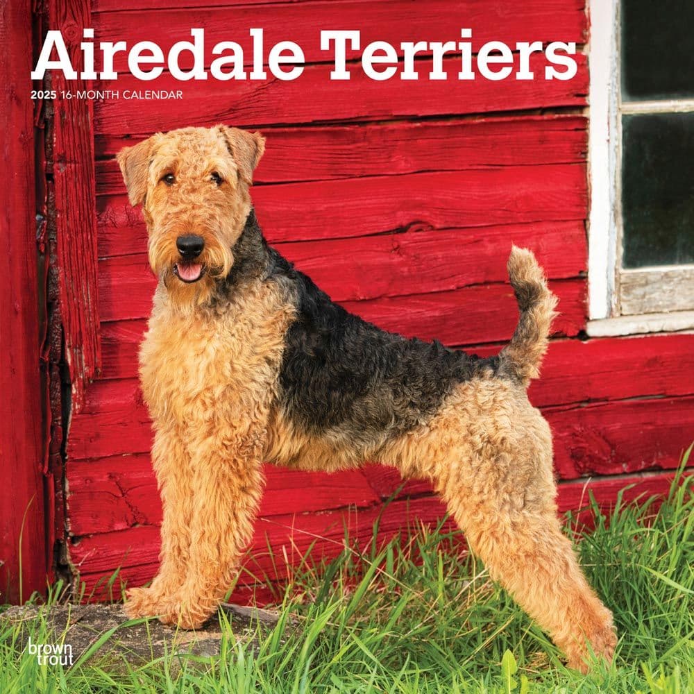 Airedale Terriers 2025 Wall Calendar Main Image