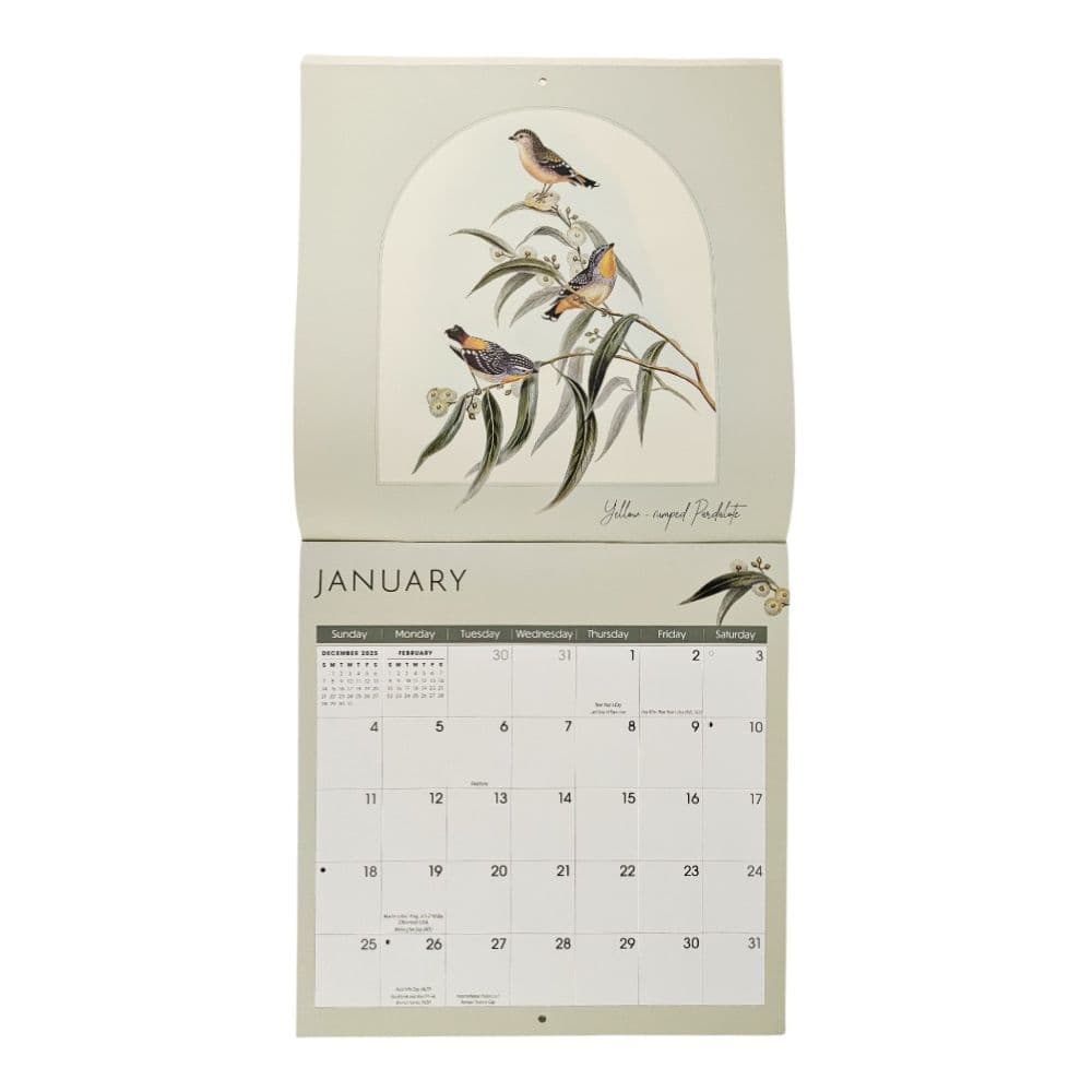 Birds 2026 Wall Calendar Third Alternate Image