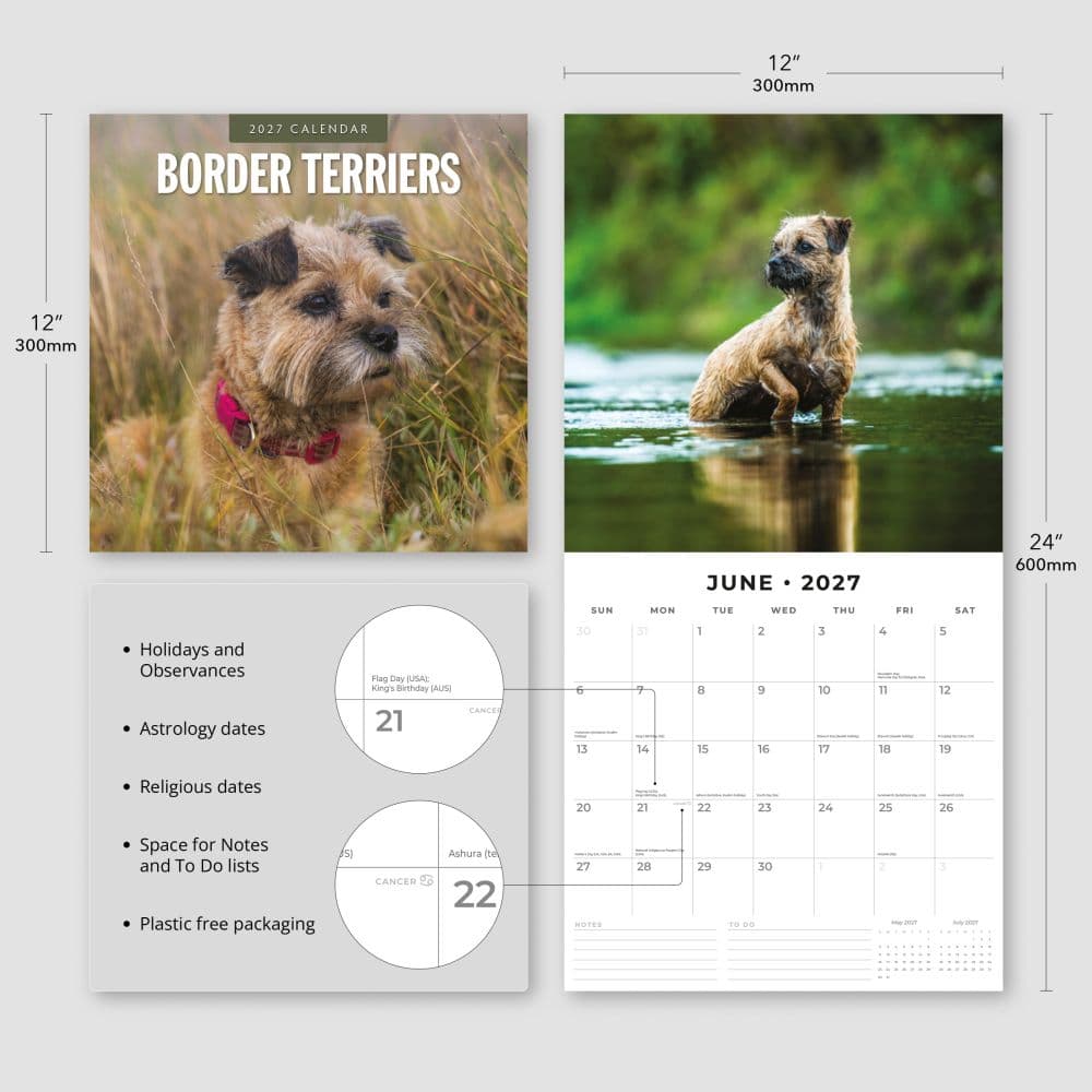Border Terriers 2027 Wall Calendar Third Alternate Image