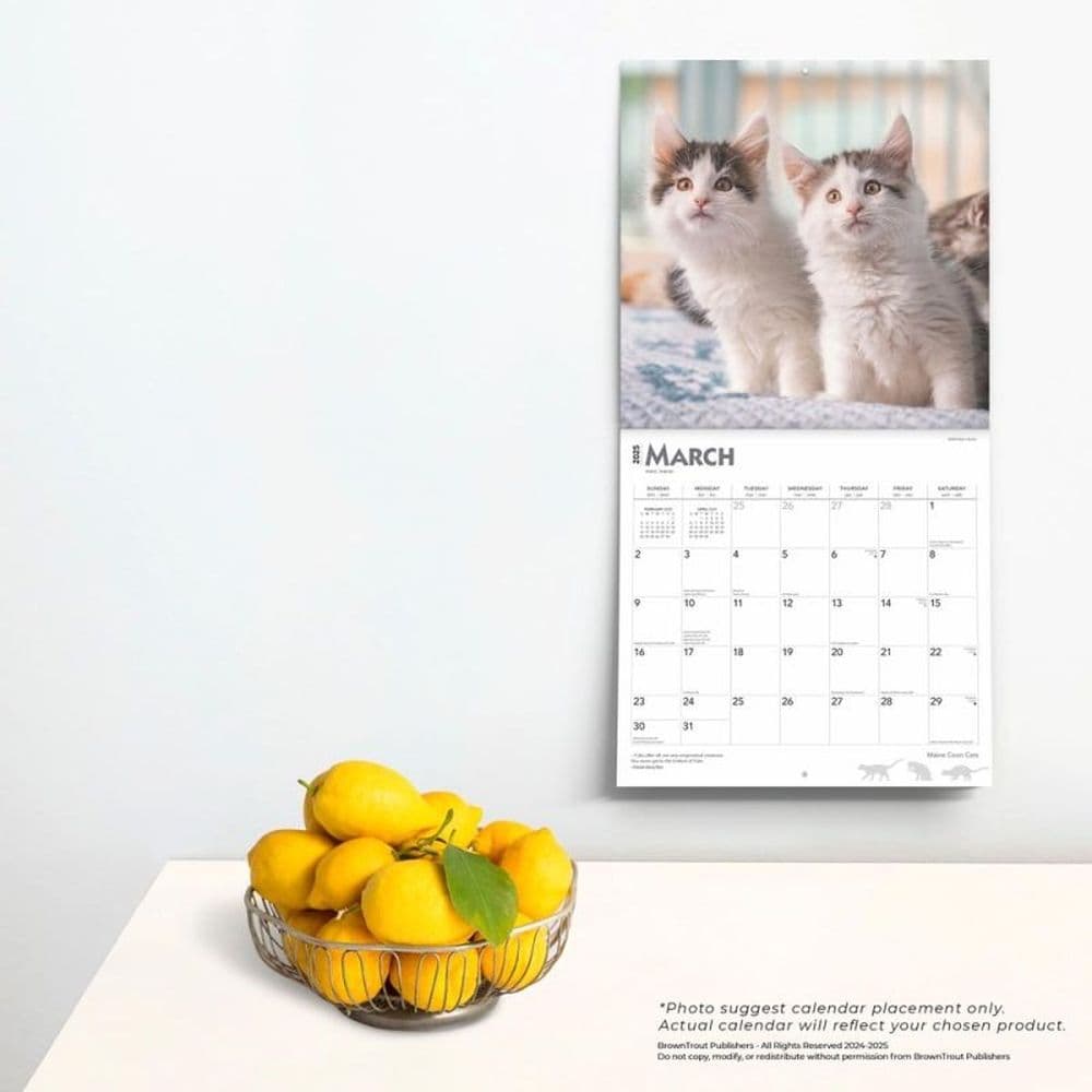 Maine Coon Cats 2025 Wall Calendar Fourth Alternate Image