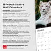 image White Tigers 2024 Wall Calendar Fourth Alternate Image width=&quot;1000&quot; height=&quot;1000&quot;