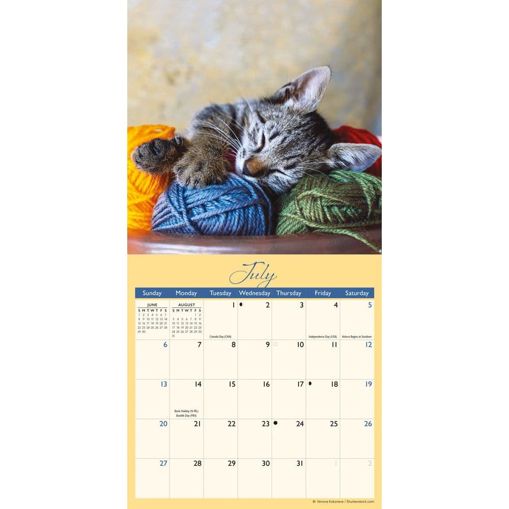 Naptime 2025 Mini Wall Calendar Third Alternate Image width=&quot;1000&quot; height=&quot;1000&quot;