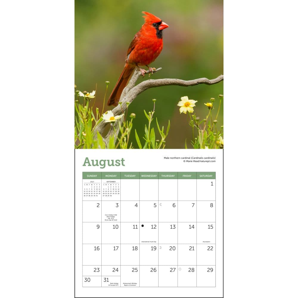 Songbirds 2026 Mini Wall Calendar Third Alternate Image
