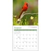 image Songbirds 2026 Mini Wall Calendar Third Alternate Image