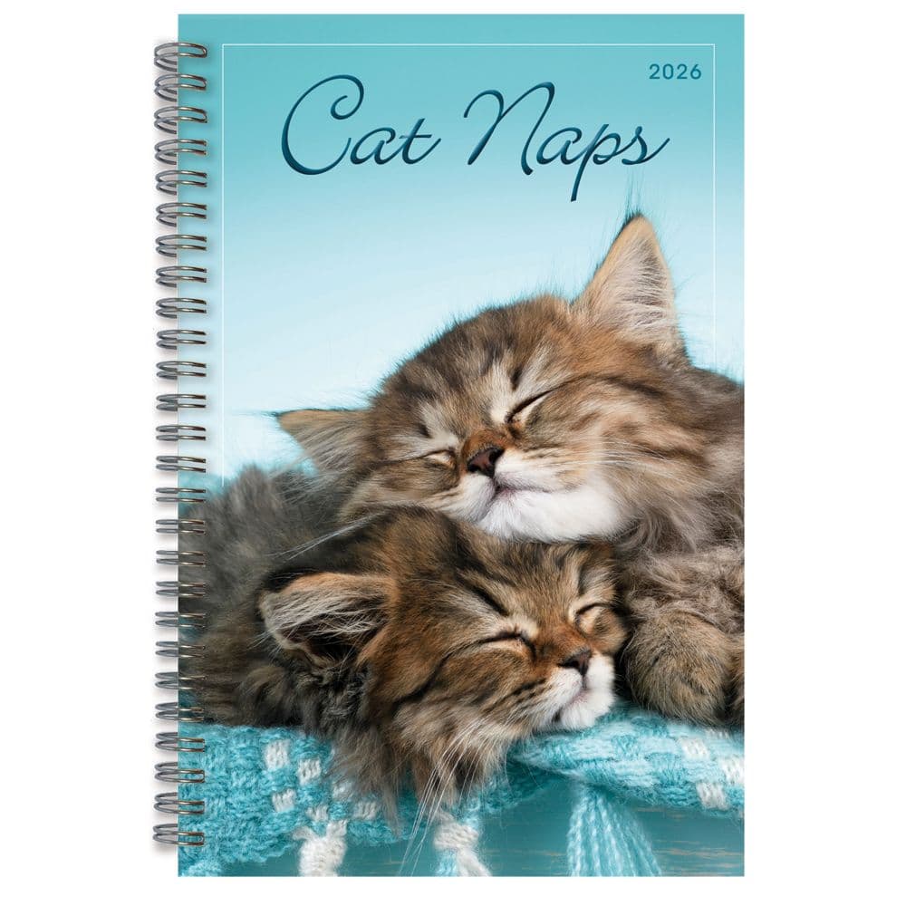Cat Naps Classic 2026 Engagement Planner_Main Image