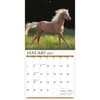 image Horses Photo 2024 Wall Calendar Alternate Image 2