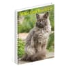 image What Cats Teach Us 2026 Engagement Planner Third Alternate Image