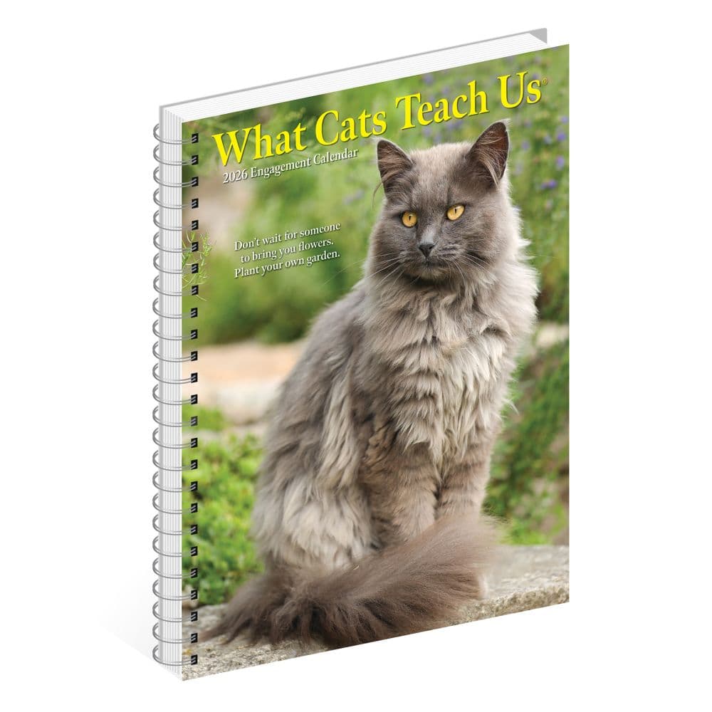 What Cats Teach Us 2026 Engagement Planner Third Alternate Image