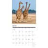 image Giraffes 2025 Wall Calendar Second Alternate Image width=&quot;1000&quot; height=&quot;1000&quot;