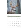 image White Tailed Deer 2025 Wall Calendar Third Alternate Image width=&quot;1000&quot; height=&quot;1000&quot;