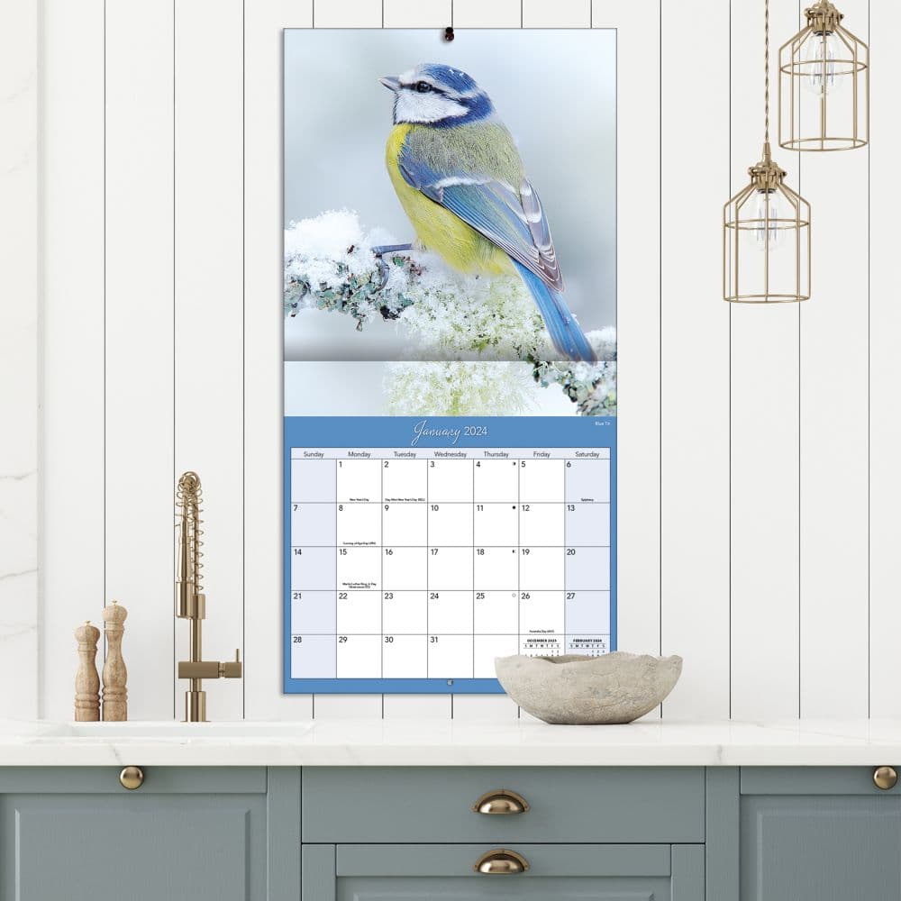 Songbirds 2024 Wall Calendar Alternate Image 5