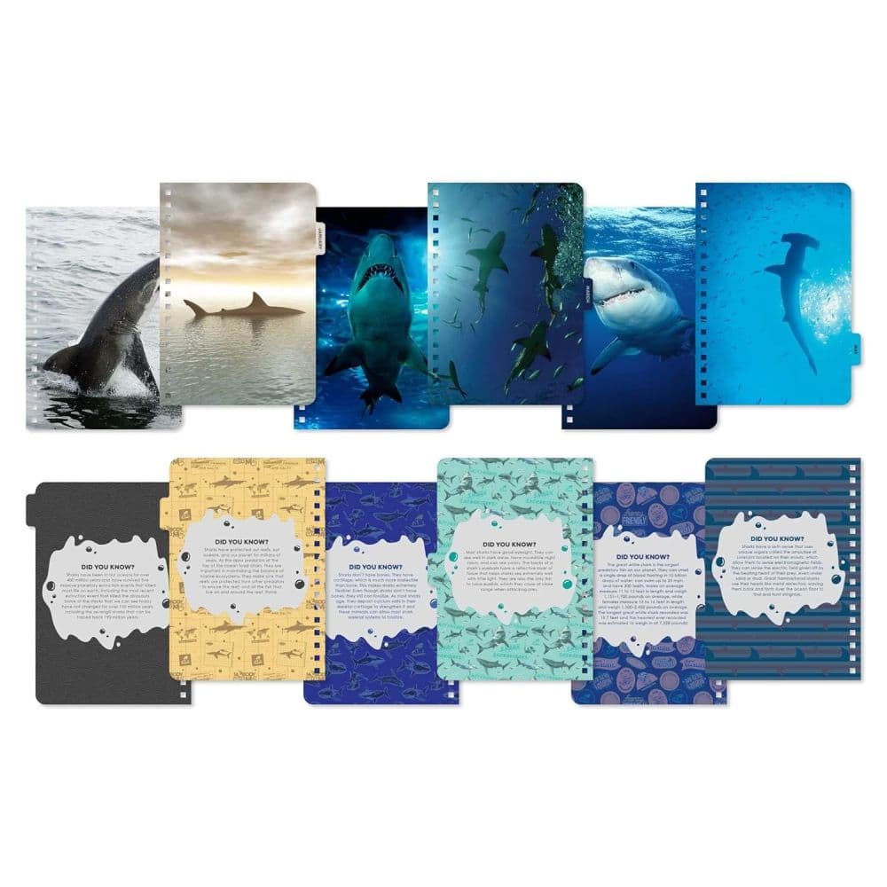 Shark Week 2026 Planner First Alternate Image
