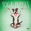 image Yoga Puppies 2024 Mini Wall Calendar Main Product Image width=&quot;1000&quot; height=&quot;1000&quot;