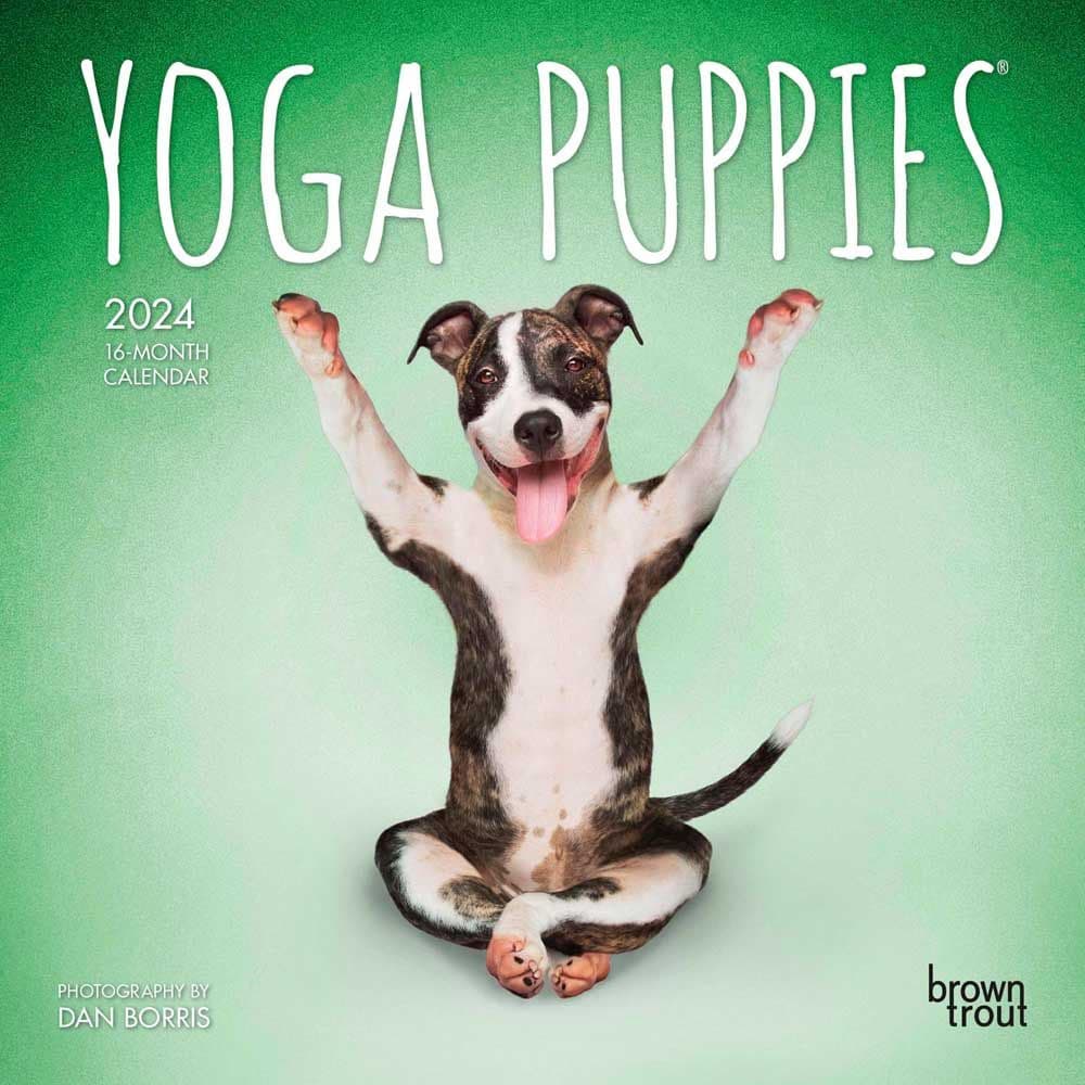 Yoga Puppies 2024 Mini Wall Calendar Main Product Image width=&quot;1000&quot; height=&quot;1000&quot;