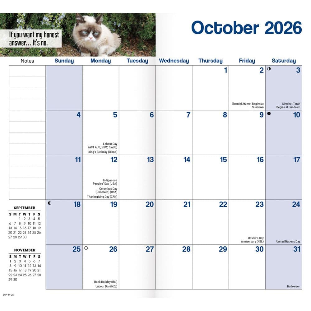 Grumpy Cat 2 Year 2025 Pocket Planner Alt4