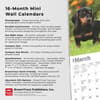 image Dachshunds 2025 Mini Wall Calendar