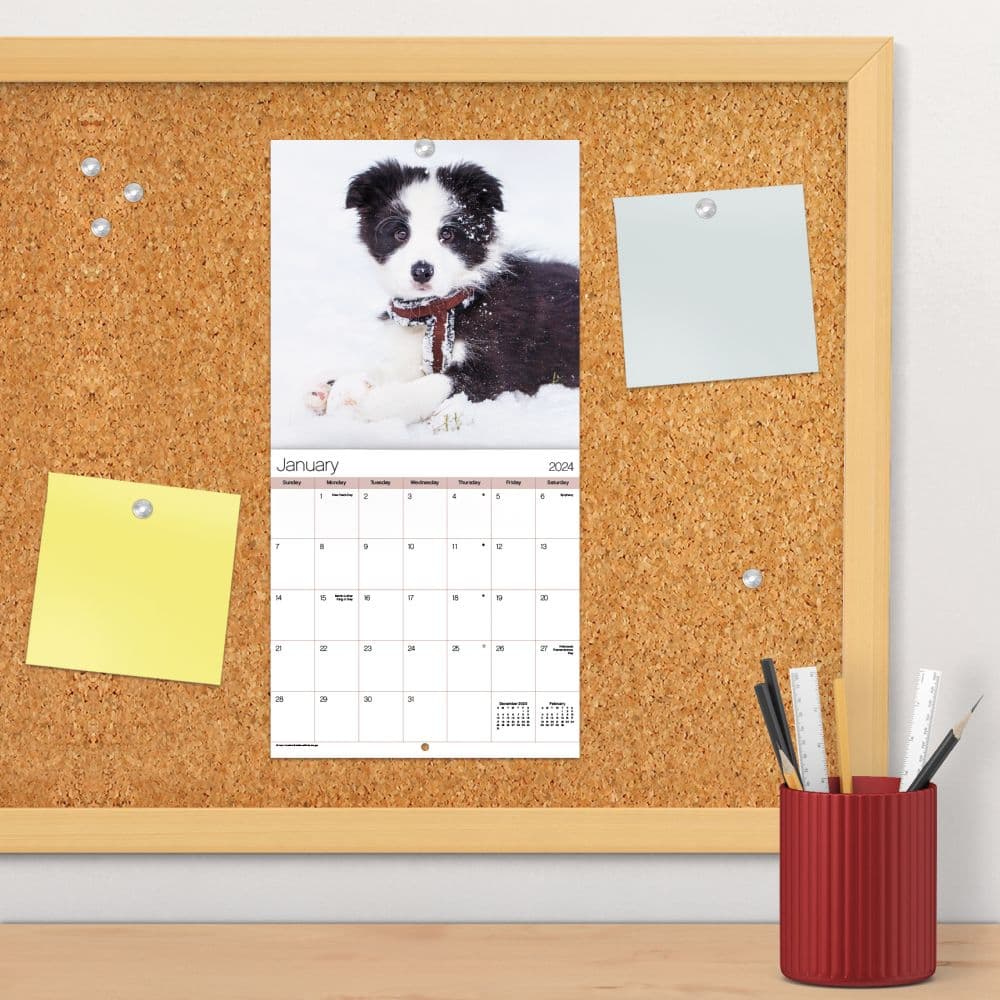 Puppies 2024 Mini Wall Calendar