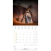 image Magic Horses 2025 Wall Calendar Fifth Alternate Image width="1000" height="1000"