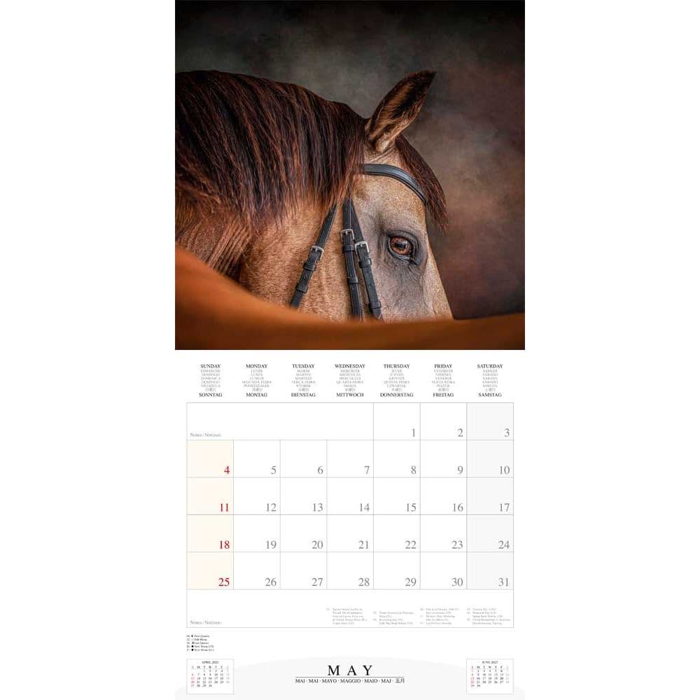 Magic Horses 2025 Wall Calendar Fifth Alternate Image width="1000" height="1000"