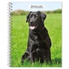 image Black Labrador Retrievers 2025 Planner Main Image