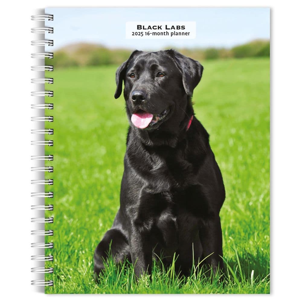 Black Labrador Retrievers 2025 Planner