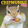 image Chipmunks Gone Nuts 2025 Wall Calendar Main Product Image width=&quot;1000&quot; height=&quot;1000&quot;