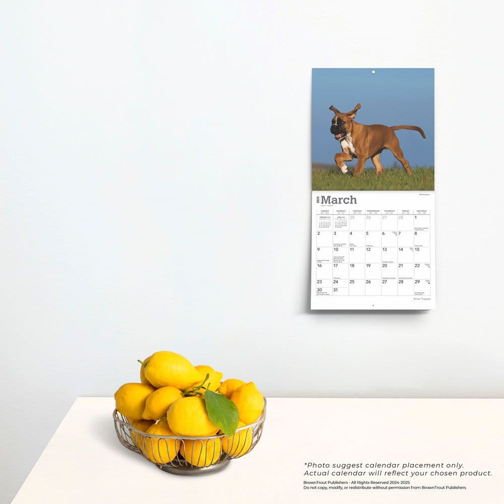 Boxer Puppies 2025 Mini Wall Calendar Fourth  Alternate Image width=&quot;1000&quot; height=&quot;1000&quot;