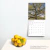 image Louisiana Wild and Scenic 2025 Wall Calendar Fourth Alternate Image