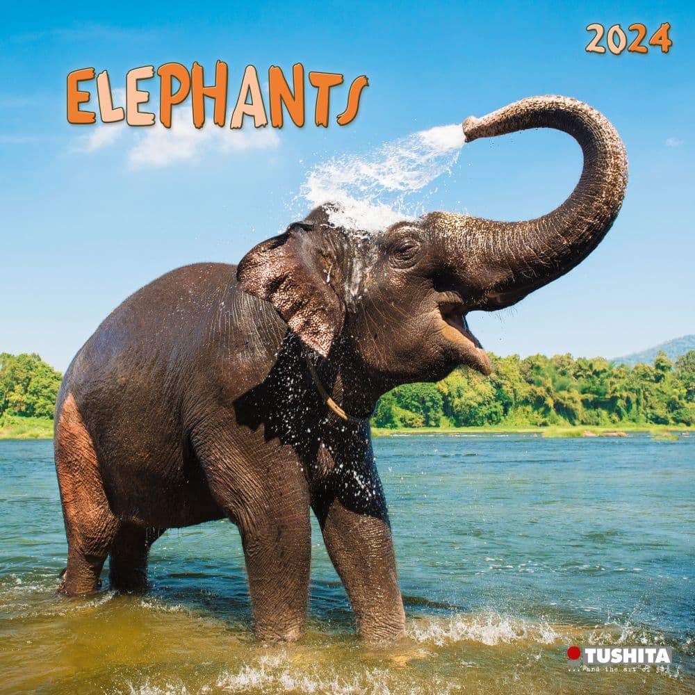 Elephant Families 2024 Wall Calendar