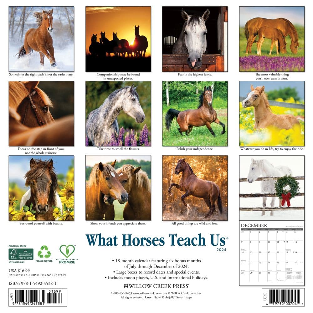 What Horses Teach Us 2025 Wall Calendar First Alternate Image width=&quot;1000&quot; height=&quot;1000&quot;