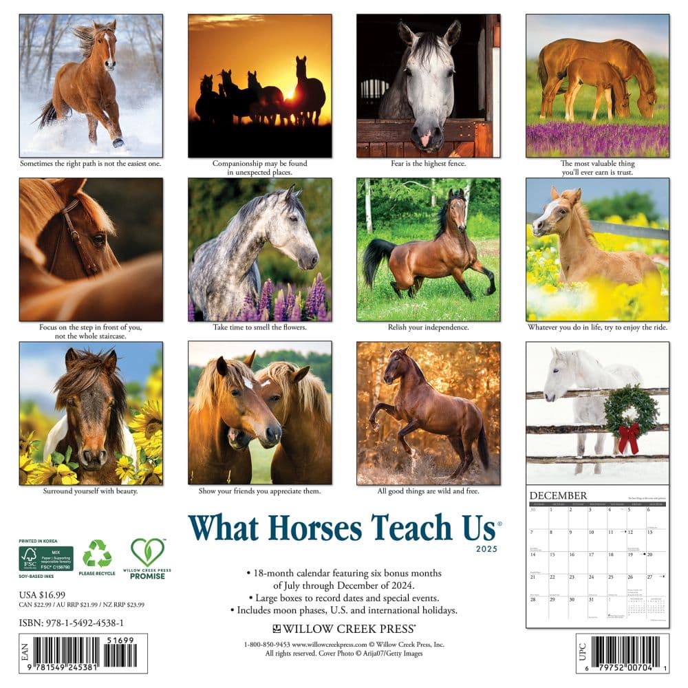 What Horses Teach Us 2025 Wall Calendar